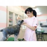 詳細を見る