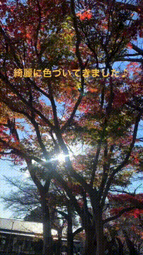 OCカメラサムネイル画像