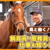 ＴＣＡ東京ＥＣＯ動物海洋専門学校 馬のお仕事について教えてもらおう
