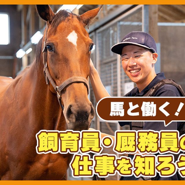 ＴＣＡ東京ＥＣＯ動物海洋専門学校 馬のお仕事について教えてもらおう1