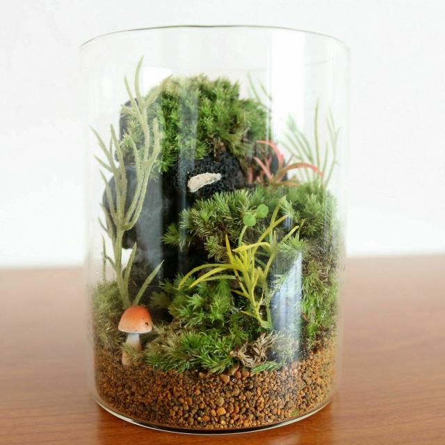 テクノ・ホルティ園芸専門学校 グリーンデザイン実習★苔テラリウムを作ろう！1