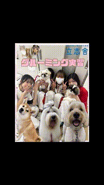 OCカメラサムネイル画像