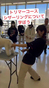 OCカメラサムネイル画像