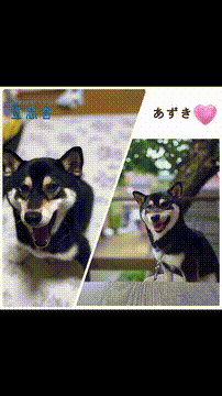 OCカメラサムネイル画像