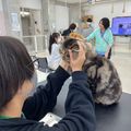 専門学校　ちば愛犬動物フラワー学園 【キャットプロ】ツボって奥深い！猫のリラクゼーション講座☆