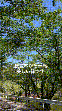 OCカメラサムネイル画像