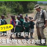 ケニアサファリガイド直伝！野生動物を守るお仕事の詳細