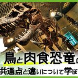 鳥と肉食恐竜の共通点と違いについて学ぼうの詳細