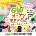 仙台ＥＣＯ動物海洋専門学校 【G.Wイベント】動物たちとお仕事を体験しよう！