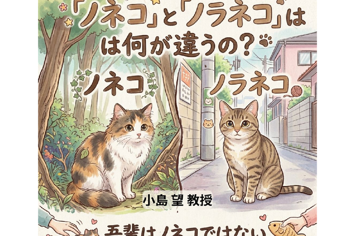 サブ画像