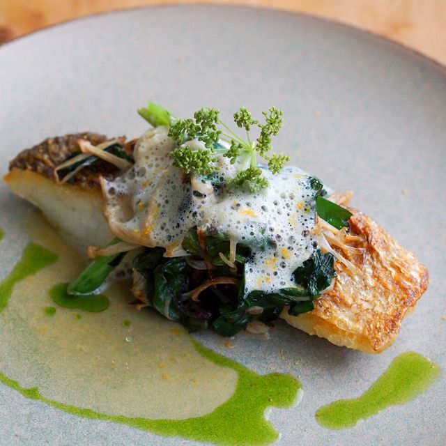 東京調理製菓専門学校 【スペシャルオープンキャンパス】ワールドフェス3