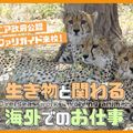 ＴＣＡ東京ＥＣＯ動物海洋専門学校 サファリガイド来校！生き物と関わる海外でのお仕事