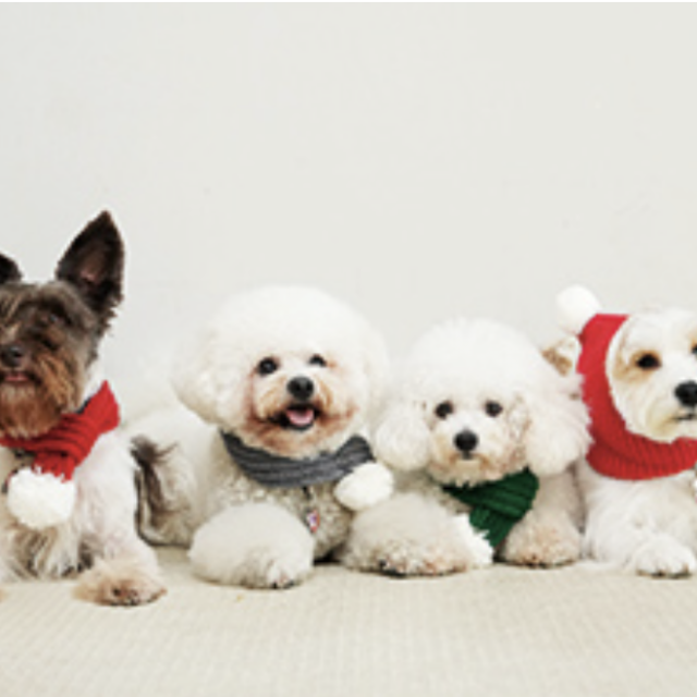 専門学校ビジョナリーアーツ 【特別講師が来校！】カット体験＆クリスマスフォト1