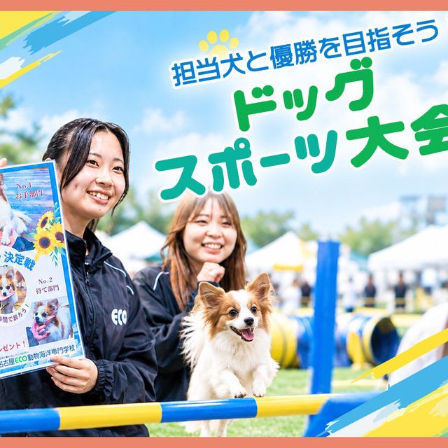 ＴＣＡ東京ＥＣＯ動物海洋専門学校 ドッグスポーツ大会！1