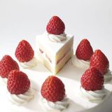 スペシャル体験DAY！講習授業体験！洋菓子の詳細