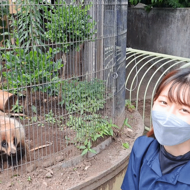 九州動物学院 第6回　動物園の方の話しを聞こう！2