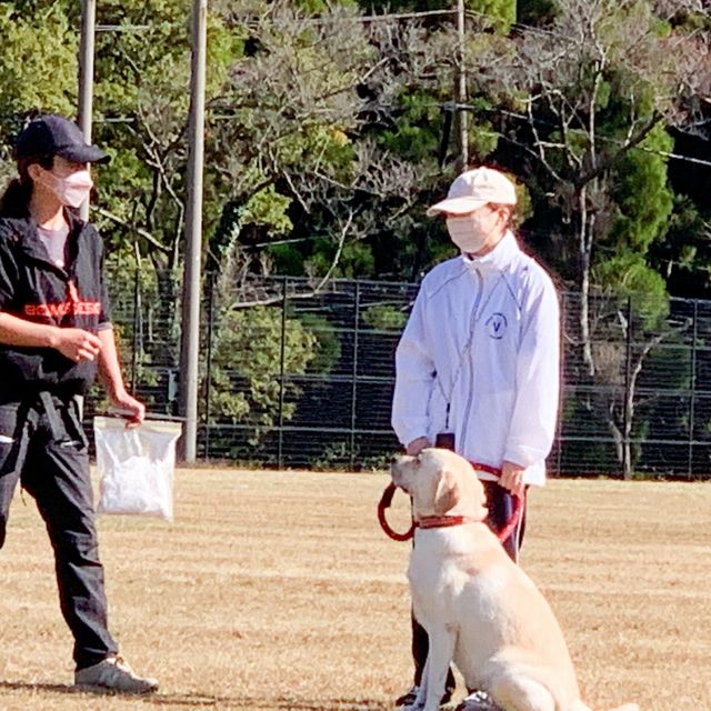 九州動物学院 第2回　犬の驚異の能力を体験しよう！～犬の訓練の実践～3