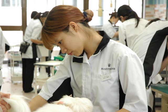 高いスキルを素晴らしい先生方から教えてもらえる 東北愛犬専門学校 スタディサプリ 進路
