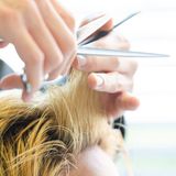 【新高校1･2年生向け】カット・まつえく体験の詳細