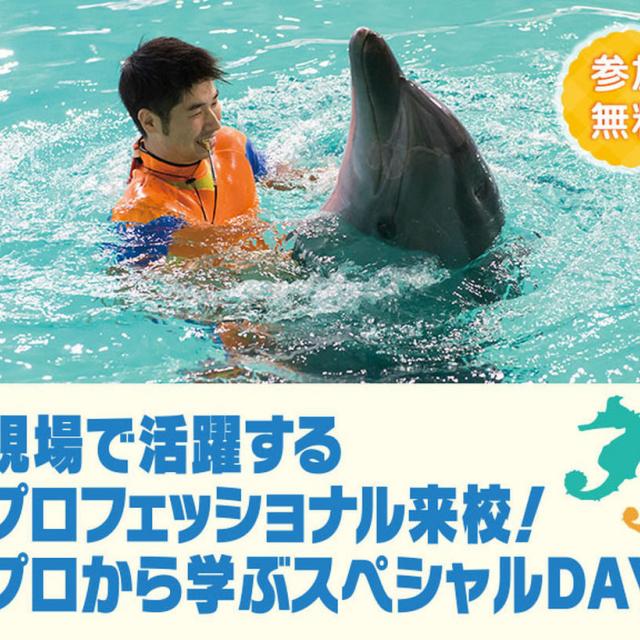 東京コミュニケーションアート専門学校 現場のプロフェッショナル来校!プロから学ぶスペシャルDAY1