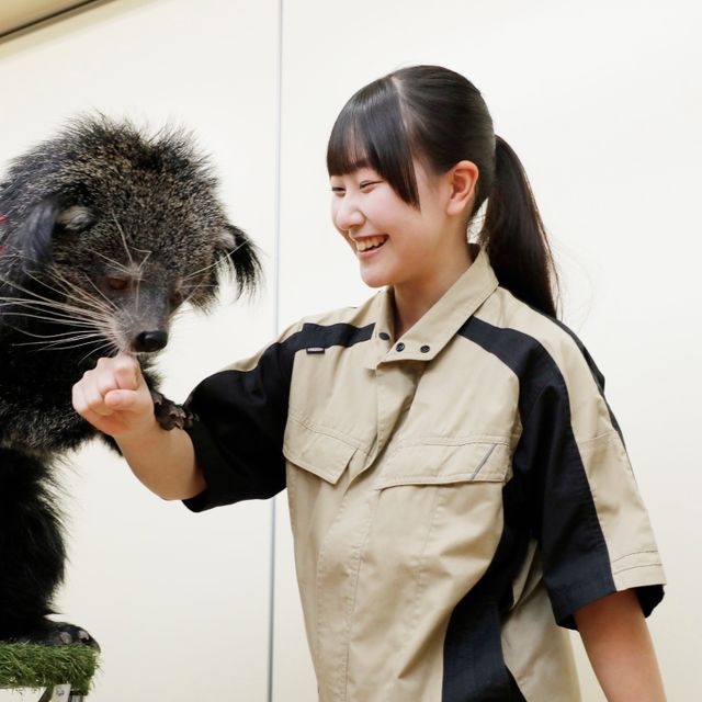 大宮国際動物専門学校 学校説明会（選んだ学科を体験できる日）3