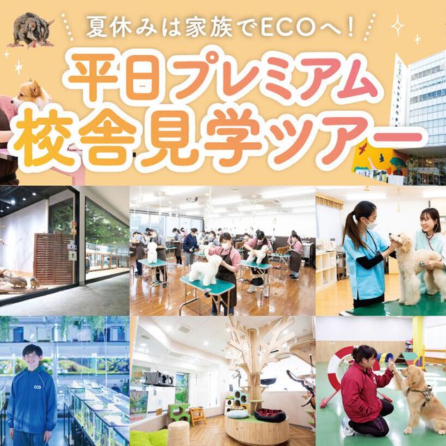 福岡ＥＣＯ動物海洋専門学校 平日プレミアム学校見学ツアー1
