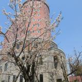 2025年度オープンキャンパスの詳細