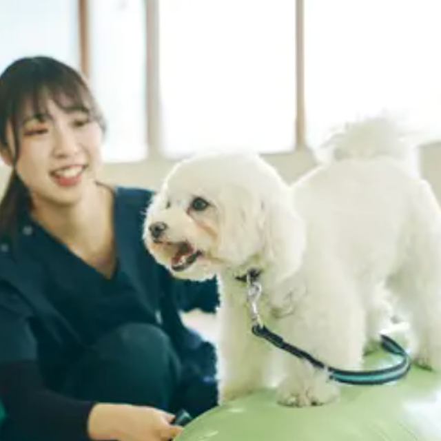 専門学校ビジョナリーアーツ 動物の看護×理学1