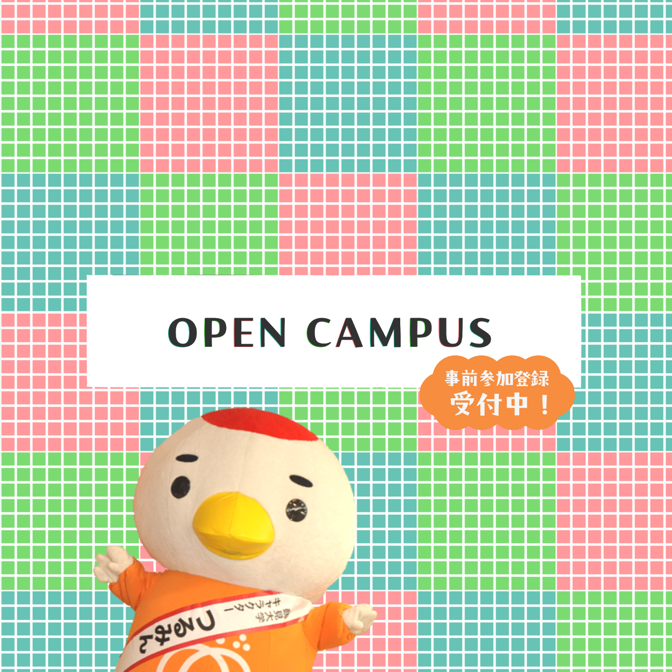 鶴見大学・鶴見大学短期大学部  赤本 教学社編集部 Amazon.co.jp: 赤本413鶴見大学・短大 : Japanese Books