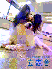 OCカメラサムネイル画像