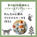 北海道エコ・動物自然専門学校 クリスマス前にワンちゃんのケーキ作りを体験しよう♪