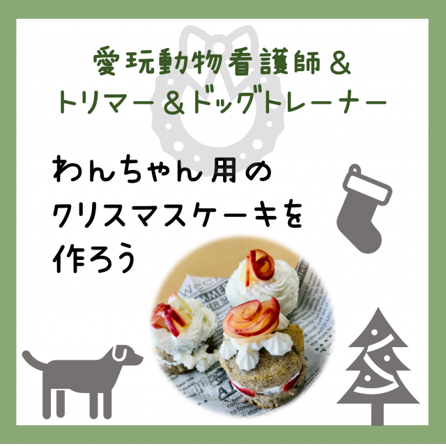 北海道エコ・動物自然専門学校 クリスマス前にワンちゃんのケーキ作りを体験しよう♪1