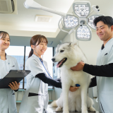 体験型オープンキャンパス2025の詳細