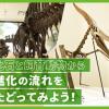 ＴＣＡ東京ＥＣＯ動物海洋専門学校 化石と飼育動物から、進化の流れをたどってみよう！