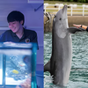 専門学校　福岡ビジョナリーアーツ 【ペット】水族館×ドルフィントレーナー よくばり体験