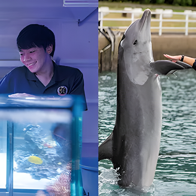 専門学校　福岡ビジョナリーアーツ 【ペット】水族館×ドルフィントレーナー よくばり体験1