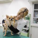 動物看護のおシゴト体験♪の詳細