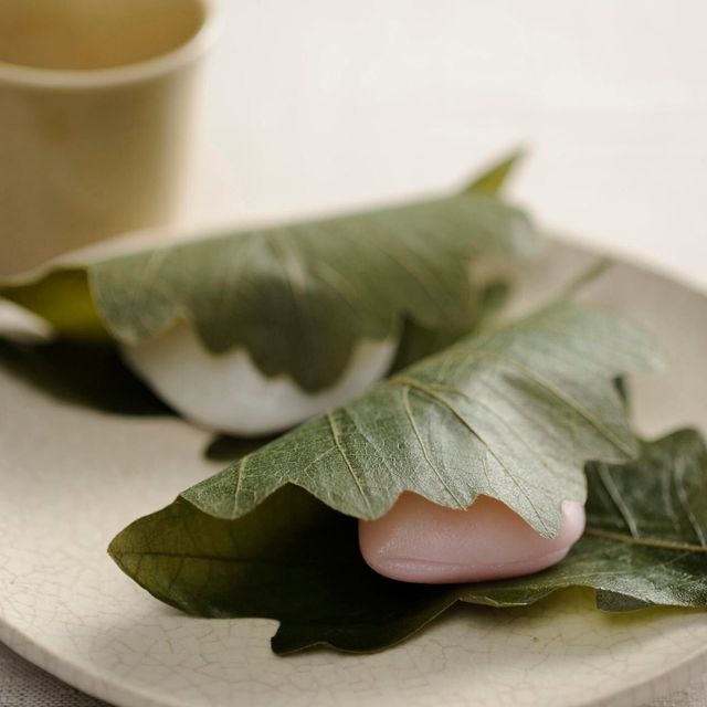 東京製菓学校 GWのスペシャル体験DAY！【和菓子コース】2