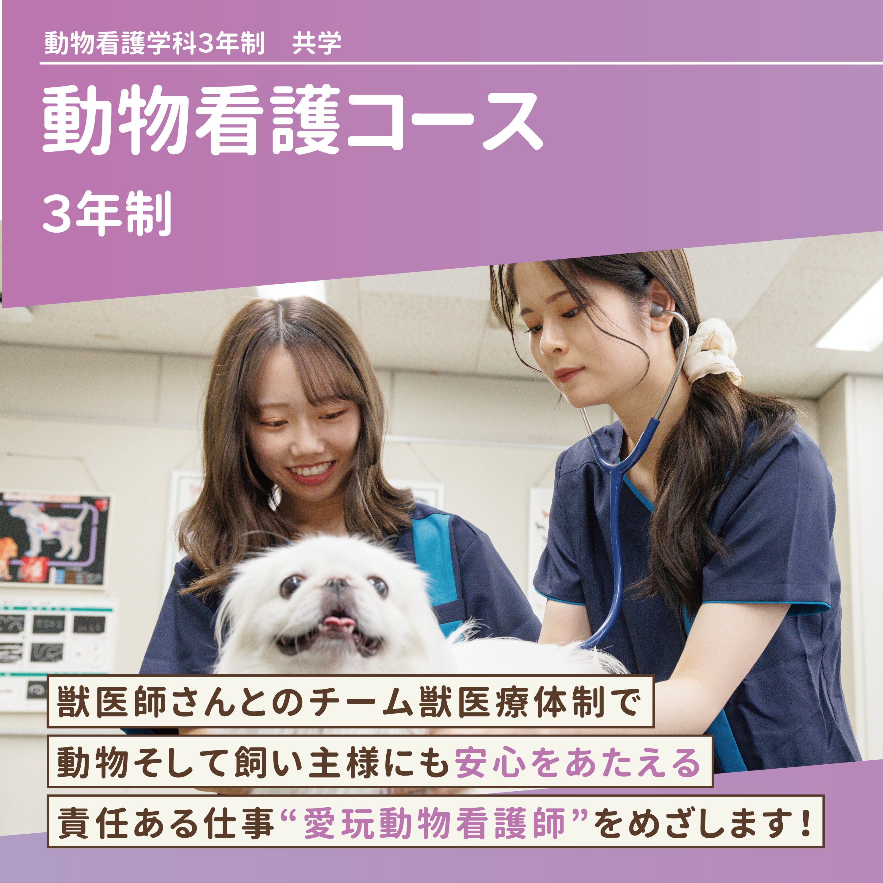 専門学校日本動物21 | 資料請求・願書請求・学校案内【スタディ