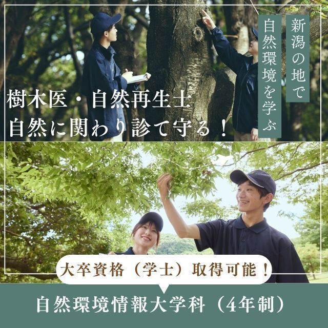 新潟農業・バイオ専門学校 【樹木医・自然再生士】新潟の自然を活かし自然環境保全を学ぶ！1