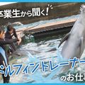 ＴＣＡ東京ＥＣＯ動物海洋専門学校 卒業生から聞く！ドルフィントレーナーのお仕事