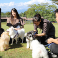 群馬動物専門学校 家庭犬トレーニングin名犬キャンパス