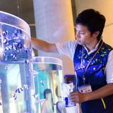 水族館・アクアリスト体験の詳細