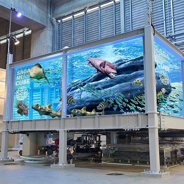 日本さかな専門学校 三崎校舎見学＆学校説明会3