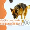 大阪ＥＣＯ動物海洋専門学校 ドッグトレーナー体験（警察犬）