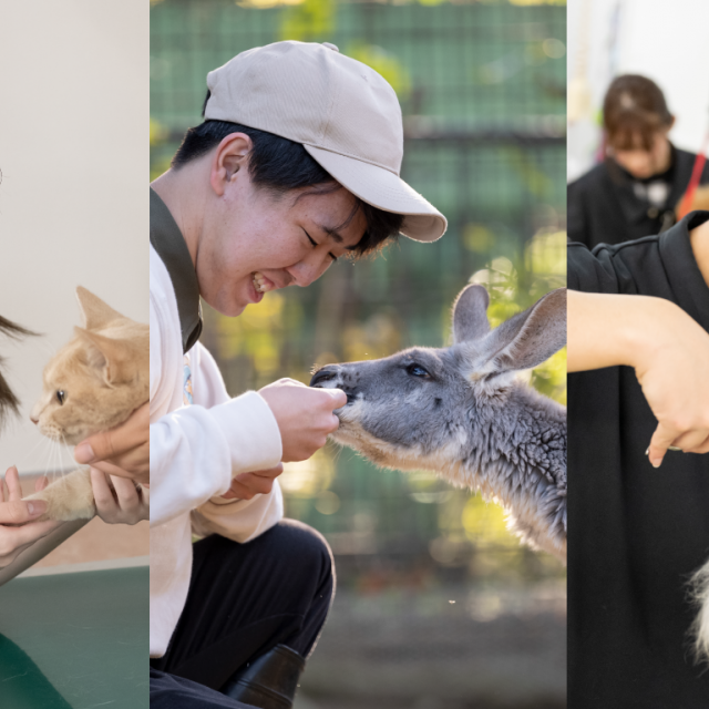 中央動物看護専門学校 [１月１７日]職業体験型オープンキャンパス！第1弾1