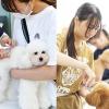 専門学校ビジョナリーアーツ 【職業よくばり体験】トリマー×動物看護師体験