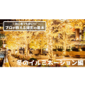 日本写真芸術専門学校 【夜開催】プロが教える撮影の基本「冬のイルミネーション編」