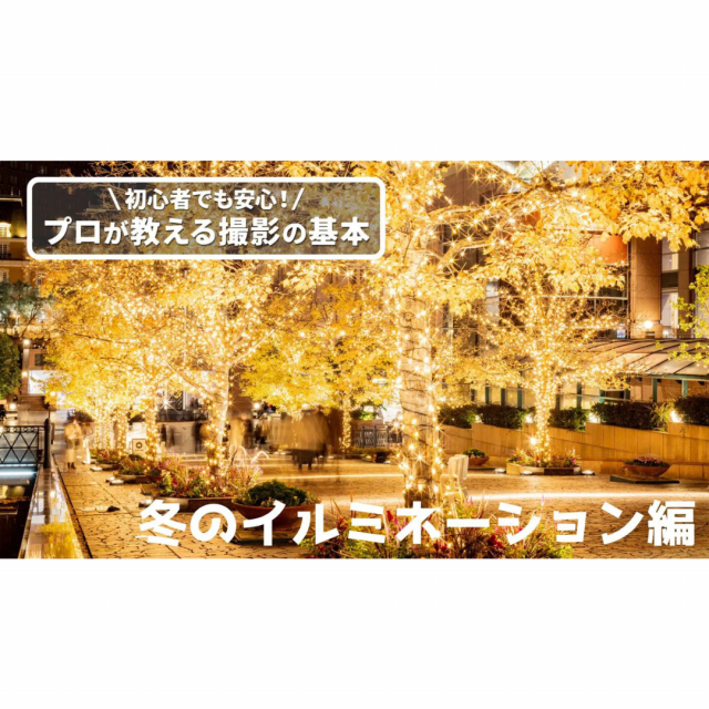 日本写真芸術専門学校 【夜開催】プロが教える撮影の基本「冬のイルミネーション編」1