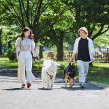 【オンライン】動画で北海道エコを体感！【いつでも視聴OK】の詳細